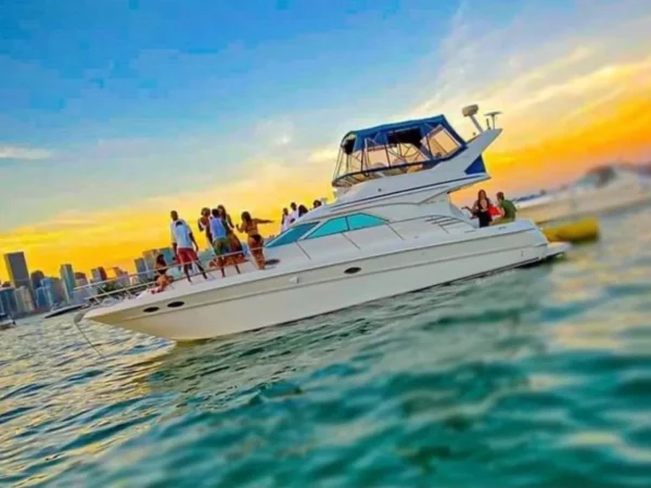 Sea Ray 50 - 1