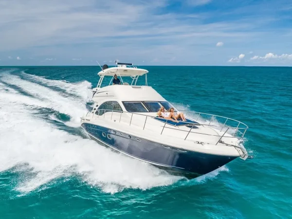 Sea Ray 60 - 2